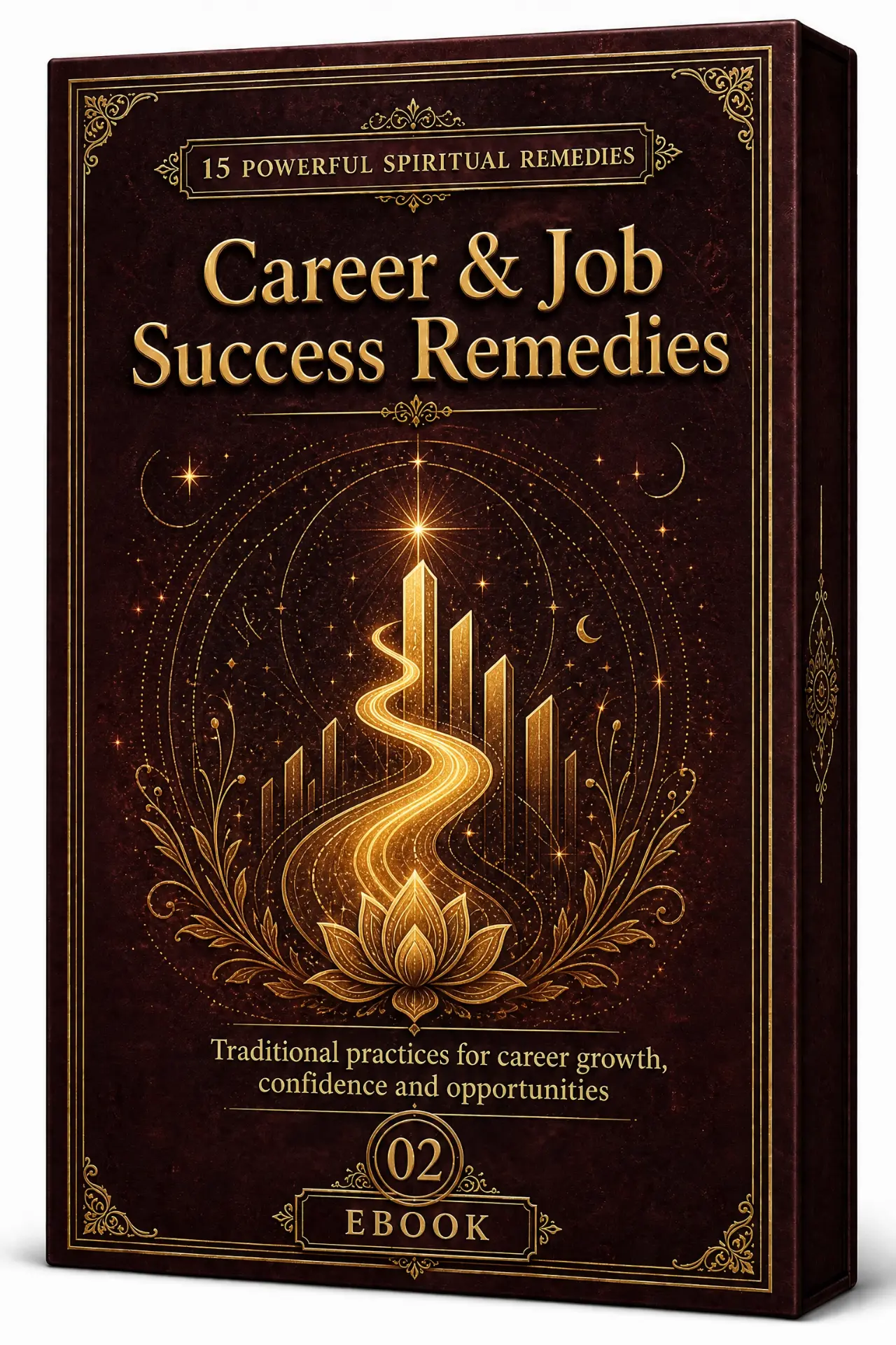 Career & Job Success Remedies ebook cover