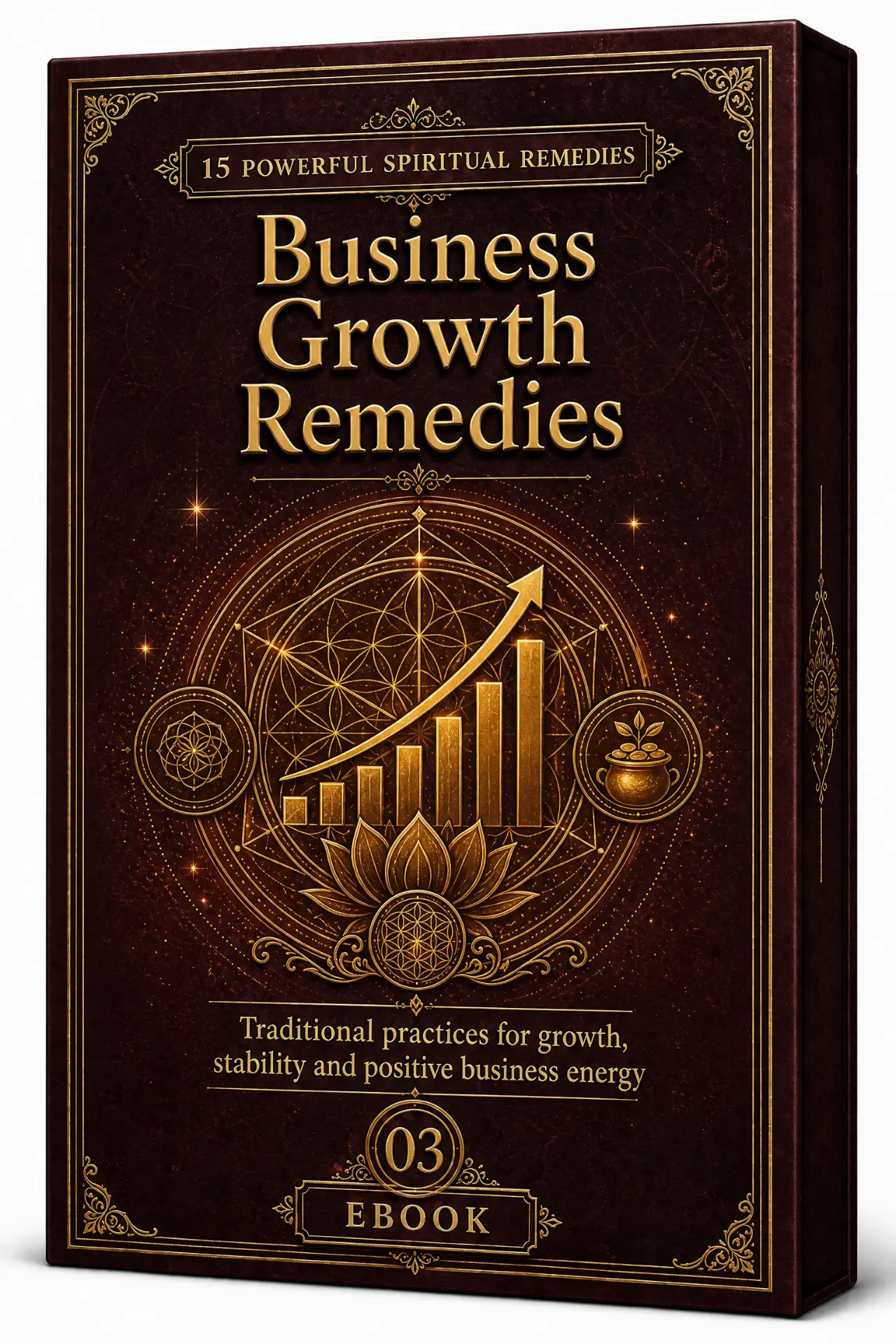 Business Growth Remedies ebook cover